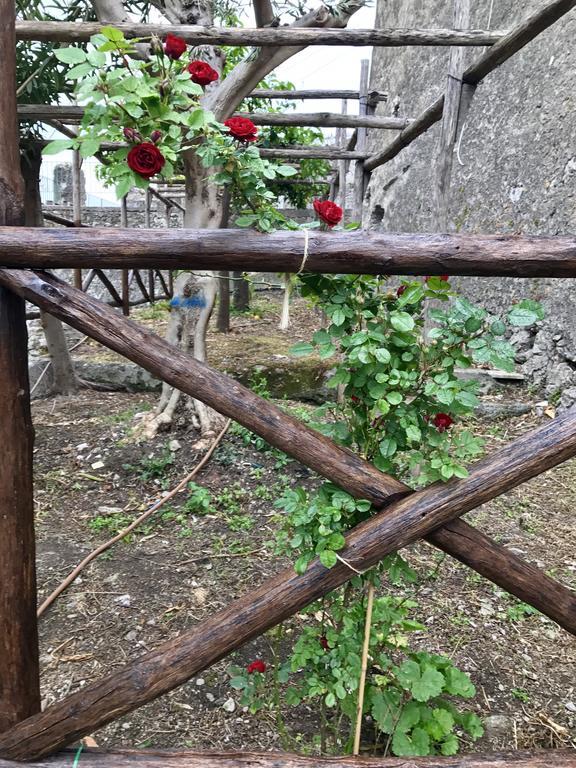 Le Due Porte マイオーリ エクステリア 写真